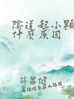 阴道起小颗粒是什么原因