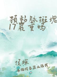 颈动脉斑块0.17严重吗