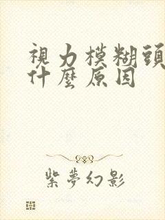 视力模糊头晕是什么原因