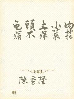 龟头上小肉粒不痛不痒菜花形的