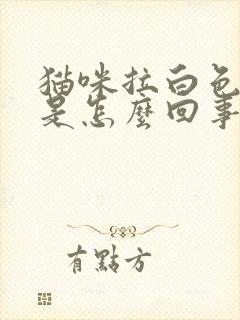 猫咪拉白色稀便是怎么回事