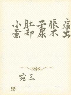 小肚子胀痛有尿意却尿不出来