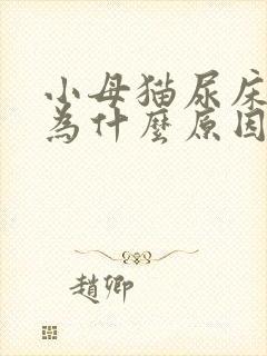 小母猫尿床是因为什么原因