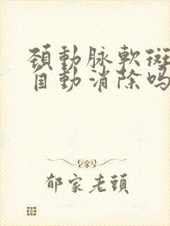 颈动脉软斑块会自动消除吗