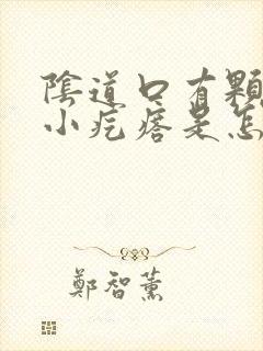 阴道口有颗粒的小疙瘩是怎么回事