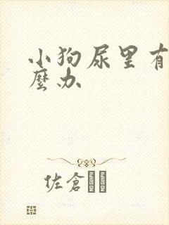 小狗尿里有血怎么办