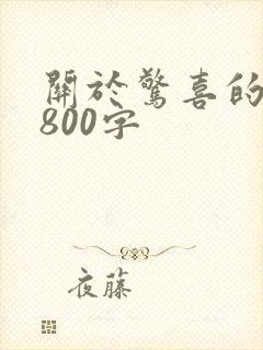 关于惊喜的作文800字