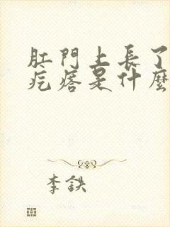 肛门上长了个肉疙瘩是什么情况