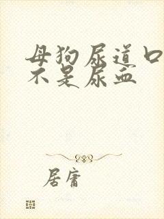 母狗尿道口滴血不是尿血