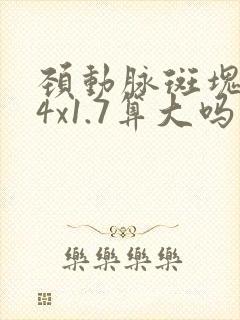 颈动脉斑块5.4x1.7算大吗