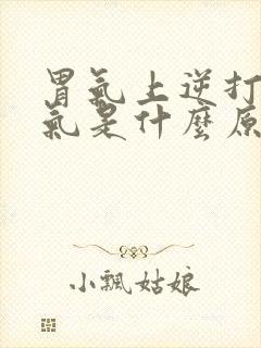 胃气上逆打嗝嗳气是什么原因造成的