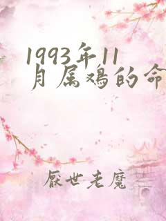 1993年11月属鸡的命运怎么样