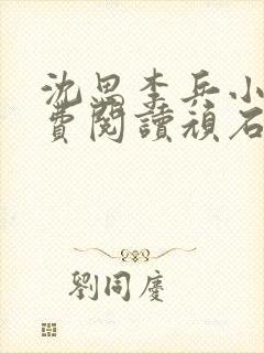 沈思李兵小说免费阅读顽石网