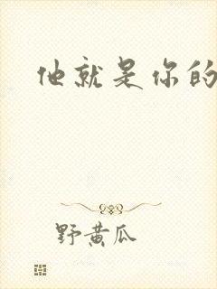 他就是你的新郎