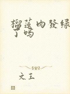 榴莲肉发绿是坏了吗