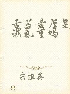 舌苔黄厚是体内湿气重吗