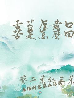 舌苔厚黄口干口苦是怎么回事