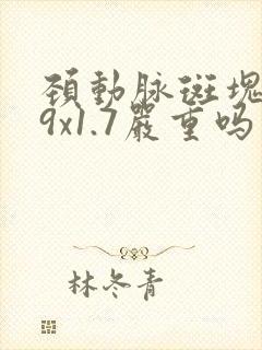 颈动脉斑块3.9x1.7严重吗