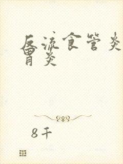 反流食管炎慢性胃炎