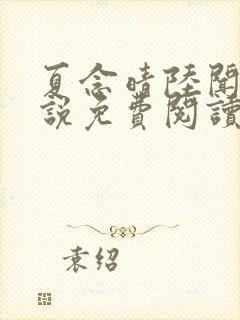 夏念晴陆闻琛小说免费阅读最新章节