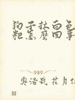 狗子拉白色的粑粑怎么回事