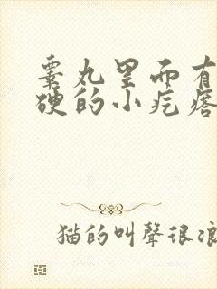 睾丸里面有个硬硬的小疙瘩吃什么药