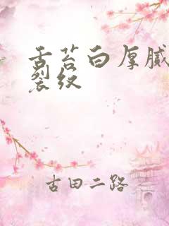 舌苔白厚腻中竖裂纹