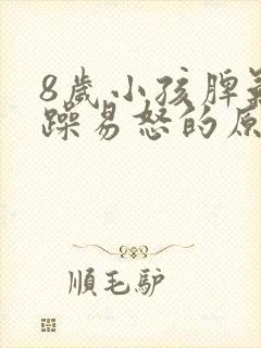 8岁小孩脾气暴躁易怒的原因