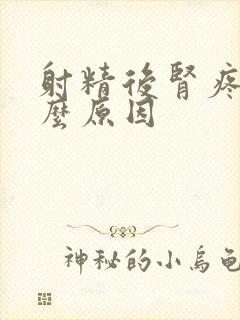 射精后肾疼是什么原因