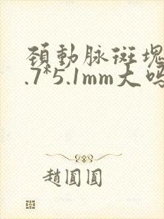 颈动脉斑块21.7*5.1mm大吗