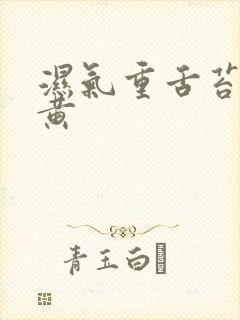 湿气重舌苔白厚黄