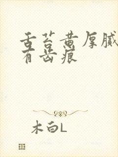 舌苔黄厚腻舌边有齿痕