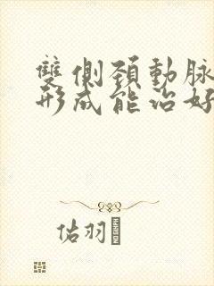 双侧颈动脉斑块形成能治好吗