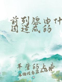 前列腺由什么原因造成的