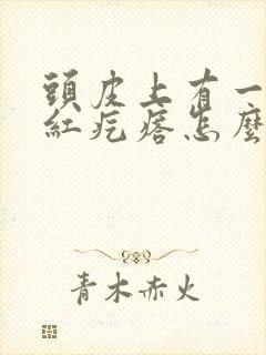 头皮上有一个小红疙瘩怎么回事