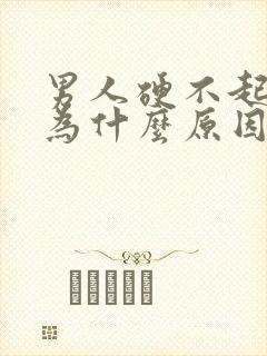 男人硬不起是因为什么原因