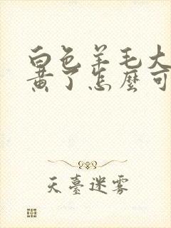 白色羊毛大衣发黄了怎么可以洗白