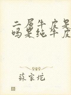 二层牛皮是牛皮吗是纯牛皮吗