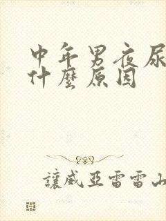 中年男夜尿多是什么原因