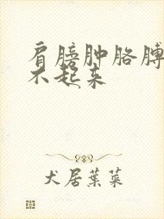 肩膀肿胳膊疼抬不起来