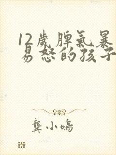 12岁脾气暴躁易怒的孩子