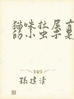 猫咪拉屎有白色的小虫子是什么虫