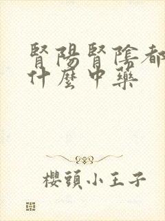 肾阳肾阴都虚吃什么中药