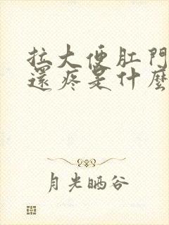 拉大便肛门出血还疼是什么原因