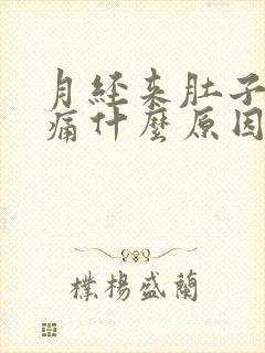 月经来肚子痛腰痛什么原因