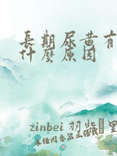 长期尿黄有沫是什么原因