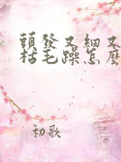 头发又细又软干枯毛躁怎么办