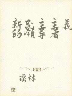 新民主主义革命的领导者