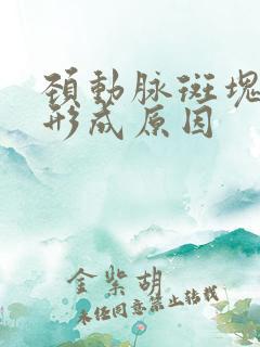 颈动脉斑块怎样形成原因