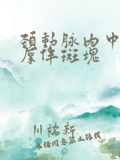 颈动脉内中膜稍厚伴斑块